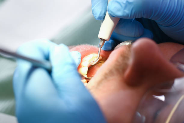 Best Emergency Pediatric Dental Care in Nicholson, MS